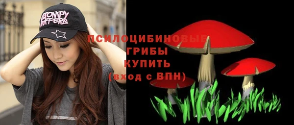 мет Белокуриха