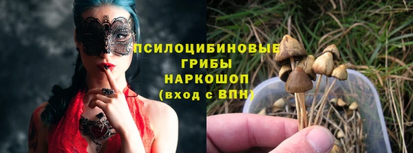 Альфа ПВП Сосновоборск