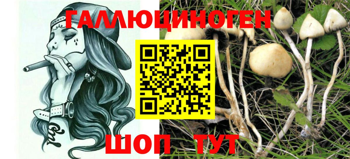 Галлюциногенные грибы Magic Shrooms Бутурлиновка