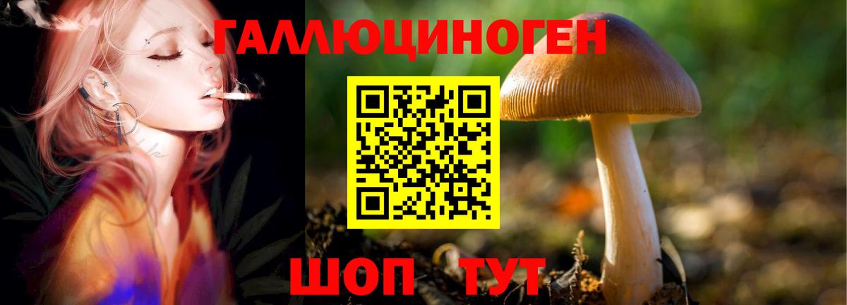 Псилоцибиновые грибы мухоморы  Вход с VPN  Бутурлиновка 