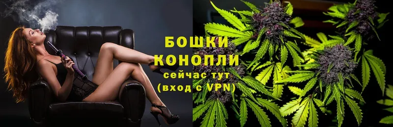 Конопля SATIVA & INDICA  Бутурлиновка 